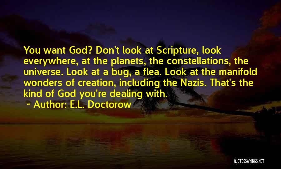 God's Wonders Quotes By E.L. Doctorow