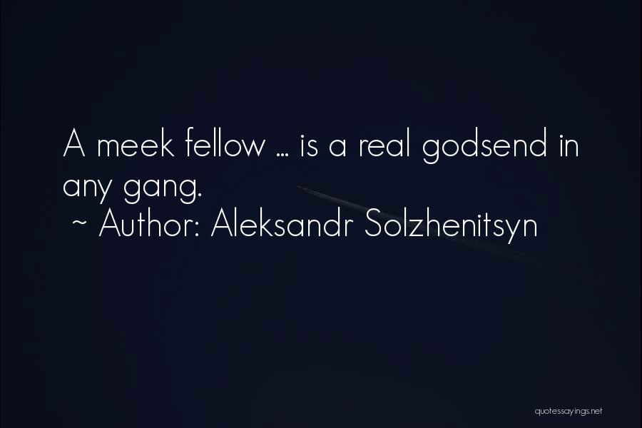 Godsend Quotes By Aleksandr Solzhenitsyn