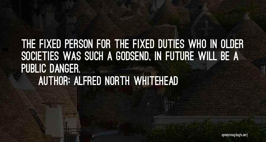 Godsend Quotes By Alfred North Whitehead