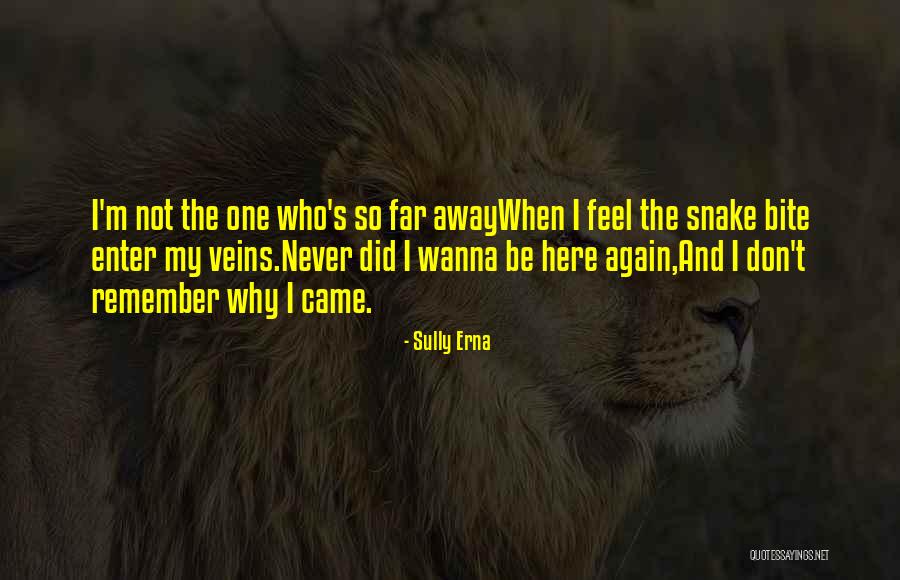 Godsmack Voodoo Quotes By Sully Erna Godsmack Voodoo Quotes By Sully Erna