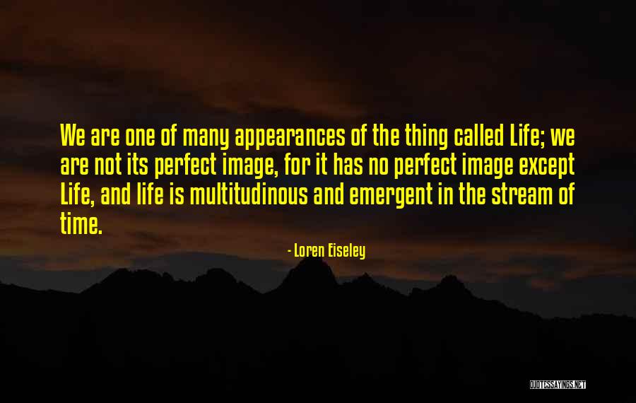 Godspell Musical Quotes By Loren Eiseley Godspell Musical Quotes By Loren Eiseley