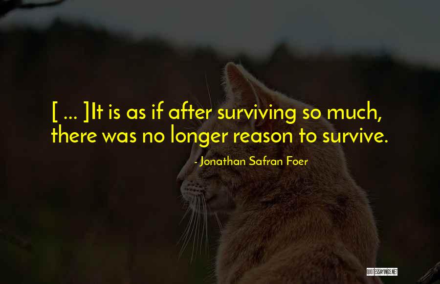 Goedewaagen Clay Quotes By Jonathan Safran Foer Goedewaagen Clay Quotes By Jonathan Safran Foer