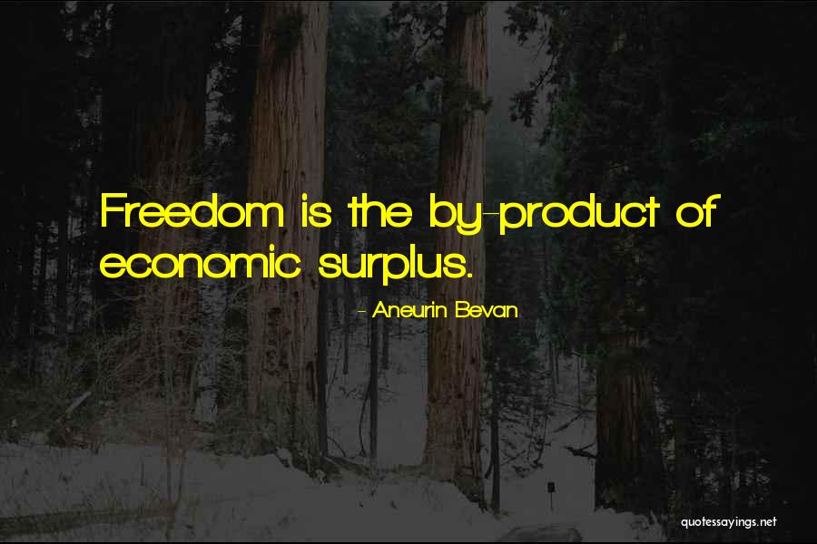 Goeminne Tuinhuizen Quotes By Aneurin Bevan Goeminne Tuinhuizen Quotes By Aneurin Bevan