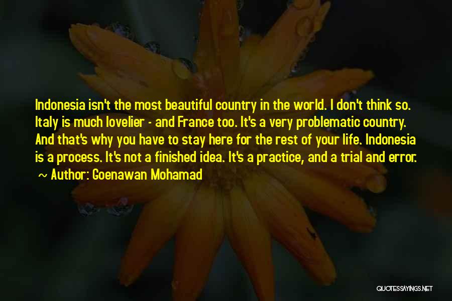Goenawan Mohamad Quotes 461596
