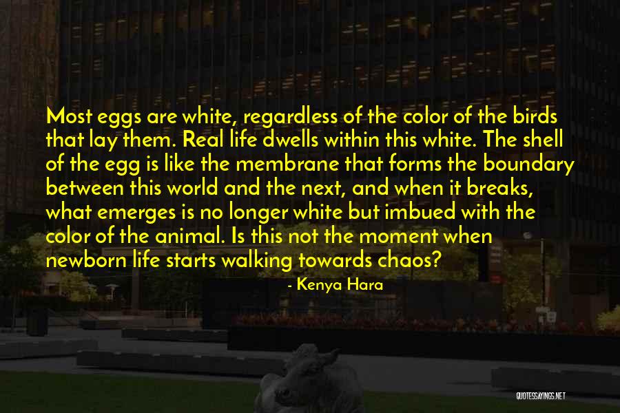 Goerz Camera Quotes By Kenya Hara Goerz Camera Quotes By Kenya Hara