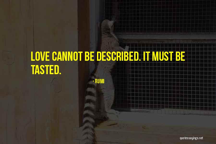 Goerz Camera Quotes By Rumi Goerz Camera Quotes By Rumi