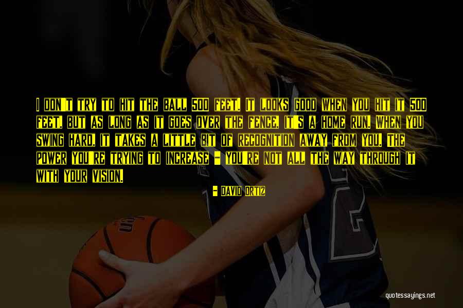 Goes A Long Way Quotes By David Ortiz Goes A Long Way Quotes By David Ortiz