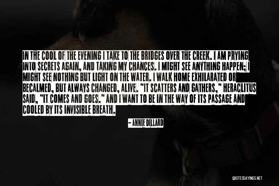 Goes And Comes Quotes By Annie Dillard Goes And Comes Quotes By Annie Dillard