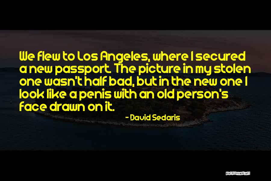 Goes And New Passport Quotes By David Sedaris Goes And New Passport Quotes By David Sedaris