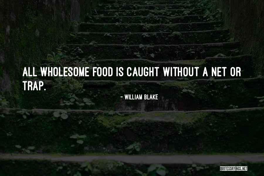 Goes And New Passport Quotes By William Blake