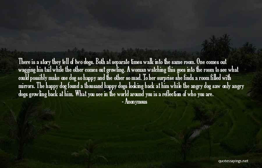 Goes Around Comes Around Quotes By Anonymous