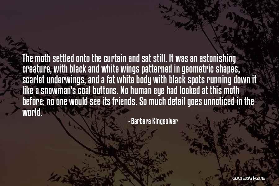 Goes Before Quotes By Barbara Kingsolver