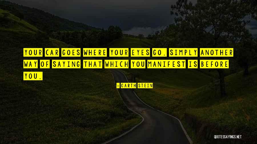 Goes Before Quotes By Garth Stein