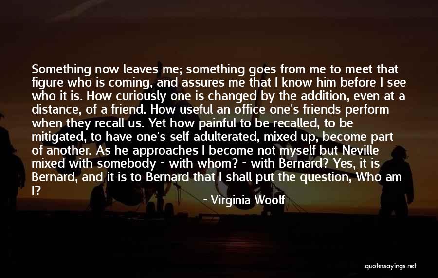 Goes Before Quotes By Virginia Woolf