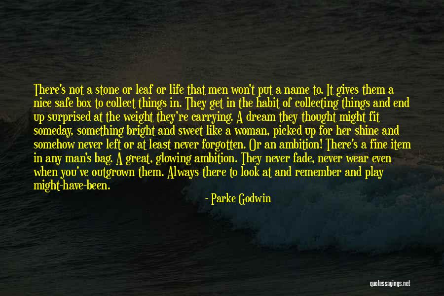 Gogani Quotes By Parke Godwin Gogani Quotes By Parke Godwin