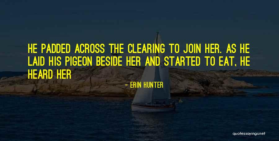 Goicoechea Diabettx Quotes By Erin Hunter Goicoechea Diabettx Quotes By Erin Hunter