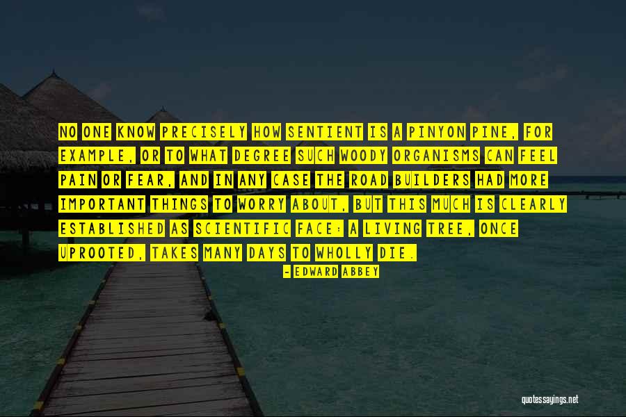 Goikoetxea Jai Quotes By Edward Abbey Goikoetxea Jai Quotes By Edward Abbey