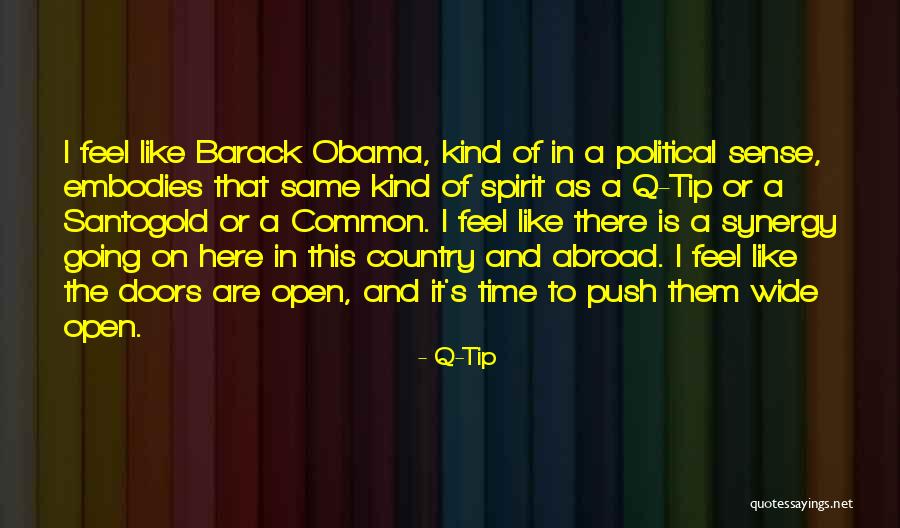 Going Abroad Quotes By Q-Tip Going Abroad Quotes By Q-Tip
