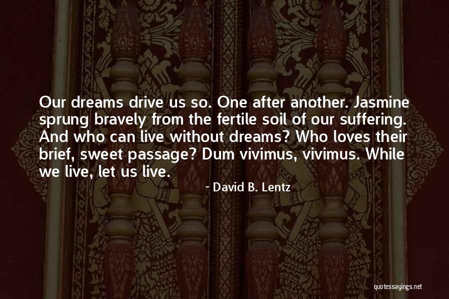 Going After Your Dreams Quotes By David B. Lentz Going After Your Dreams Quotes By David B. Lentz