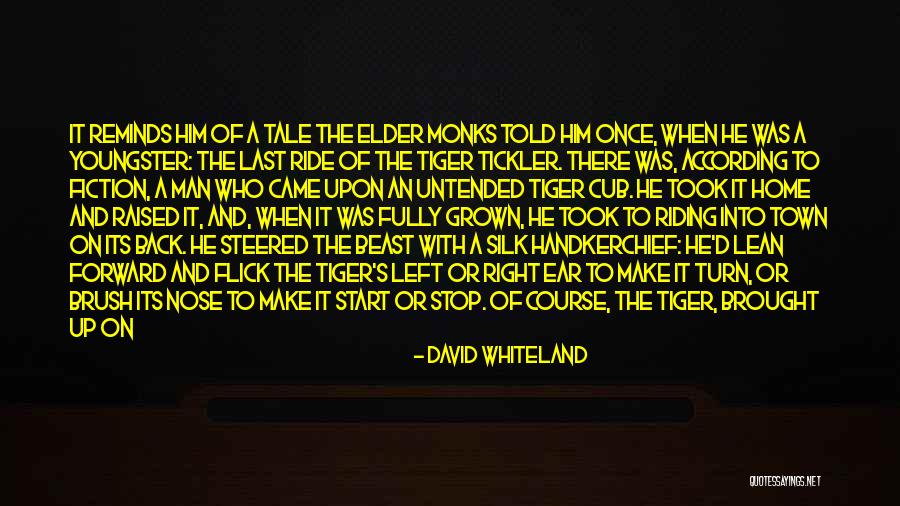 Going Along For The Ride Quotes By David Whiteland