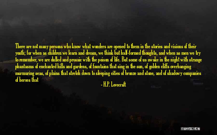 Going Along For The Ride Quotes By H.P. Lovecraft