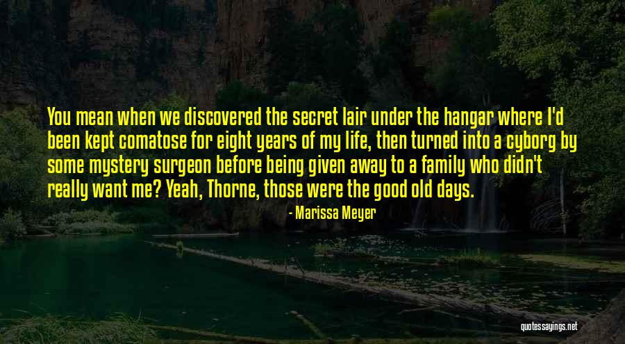 Going Away From Family Quotes By Marissa Meyer