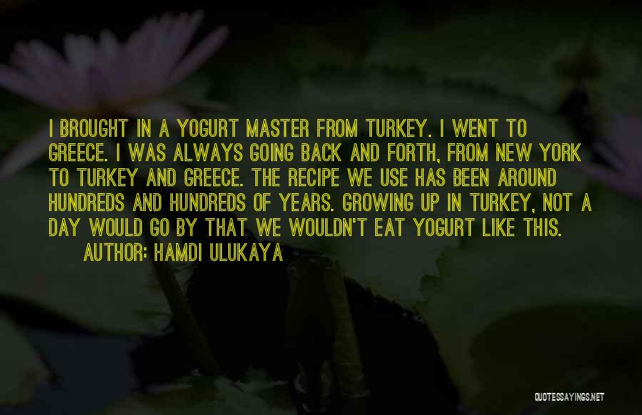 Going Back And Forth Quotes By Hamdi Ulukaya
