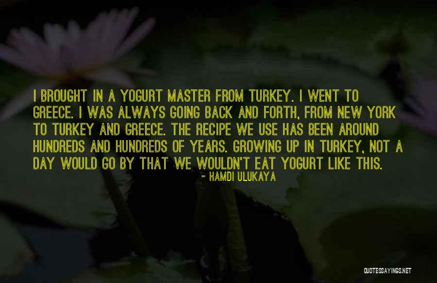 Going Back And Forth Quotes By Hamdi Ulukaya