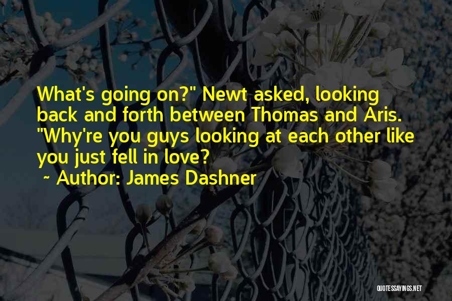 Going Back And Forth Quotes By James Dashner