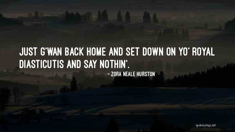 Going Back Home Soon Quotes By Zora Neale Hurston