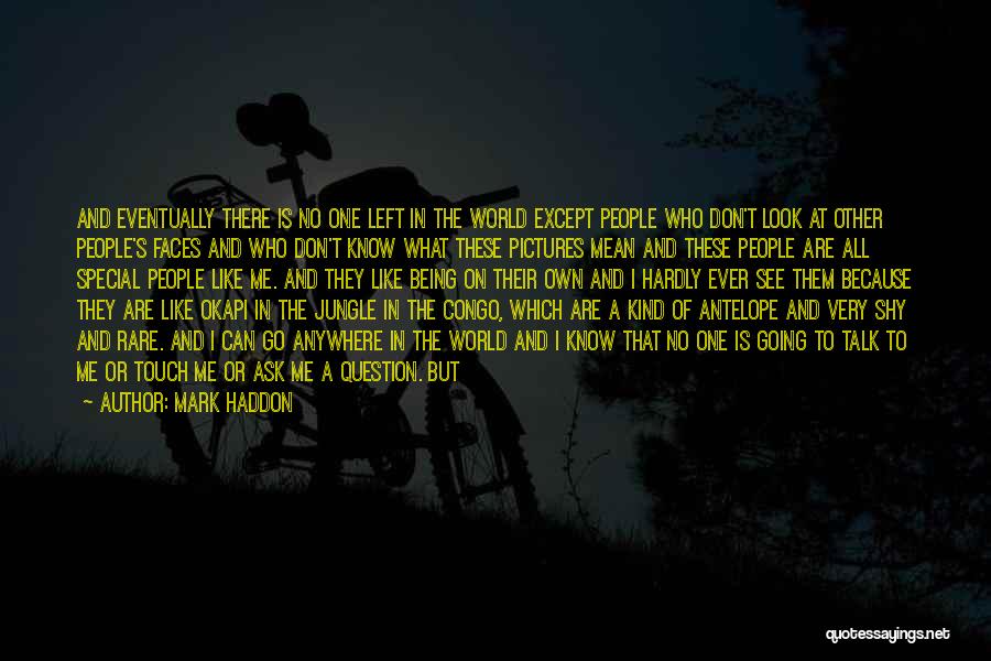 Going Back In Time Quotes By Mark Haddon