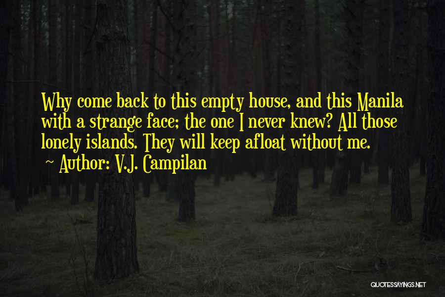 Going Back To Hometown Quotes By V.J. Campilan