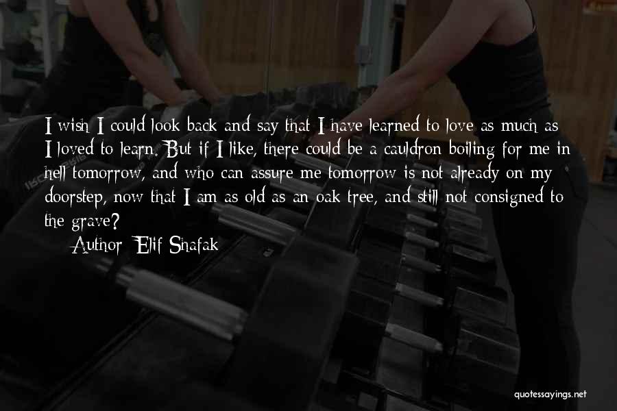 Going Back To Old Love Quotes By Elif Shafak