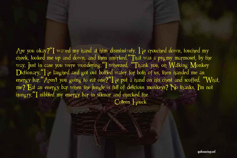 Going Back To Places Quotes By Colleen Houck Going Back To Places Quotes By Colleen Houck