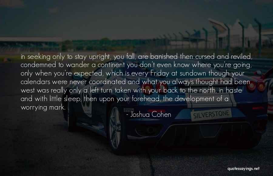 Going Back To Sleep Quotes By Joshua Cohen