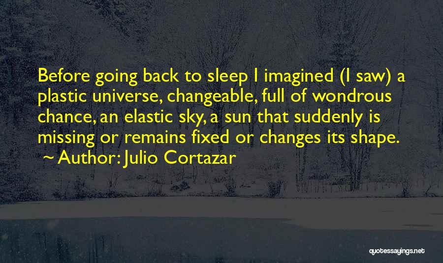 Going Back To Sleep Quotes By Julio Cortazar