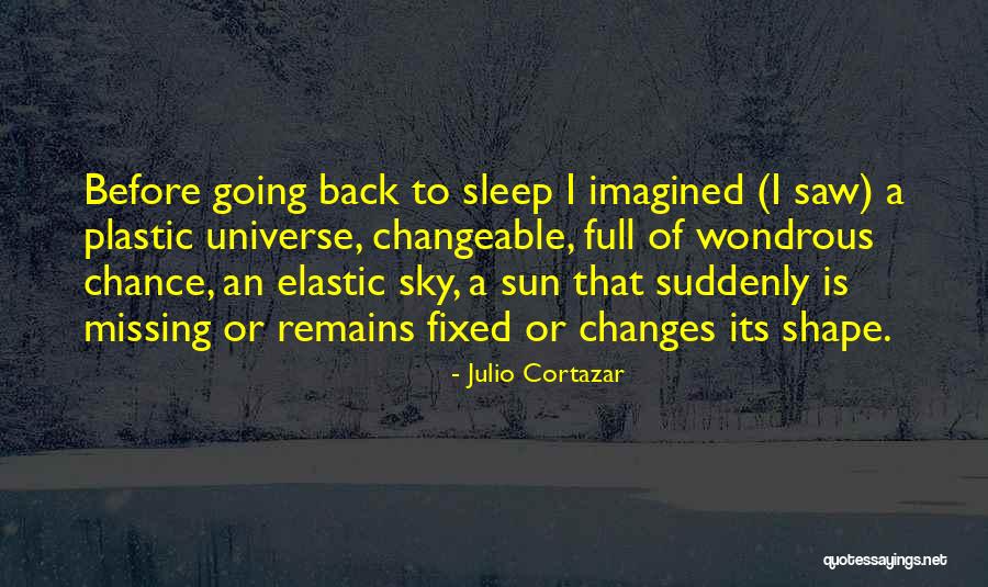 Going Back To Sleep Quotes By Julio Cortazar Going Back To Sleep Quotes By Julio Cortazar