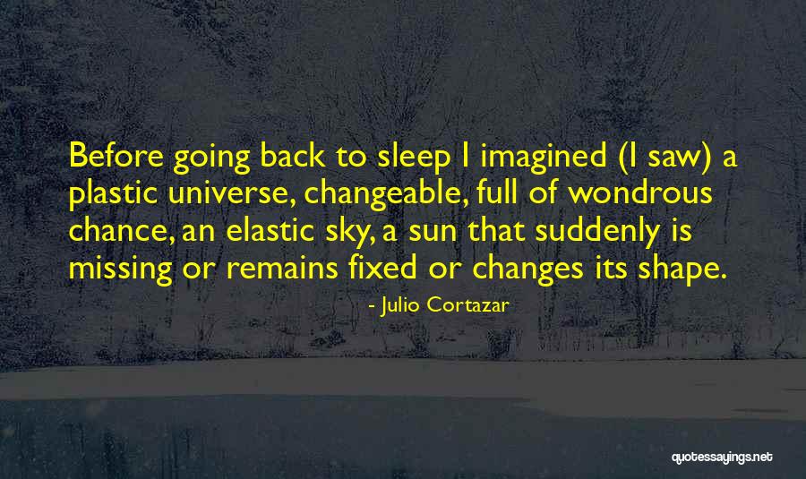 Going Back To Sleep Quotes By Julio Cortazar