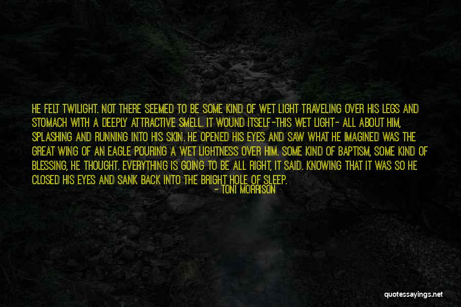 Going Back To Sleep Quotes By Toni Morrison Going Back To Sleep Quotes By Toni Morrison