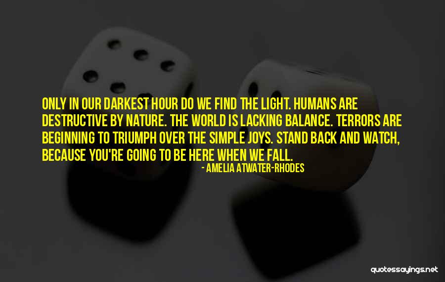 Going Back To The Beginning Quotes By Amelia Atwater-Rhodes