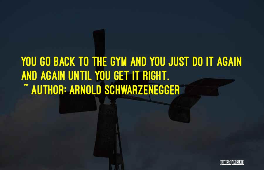 Going Back To The Gym Quotes By Arnold Schwarzenegger