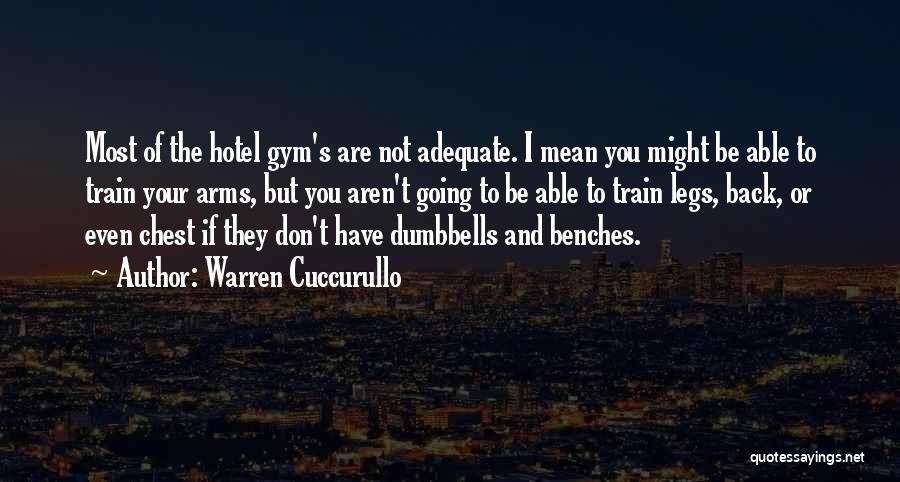 Going Back To The Gym Quotes By Warren Cuccurullo