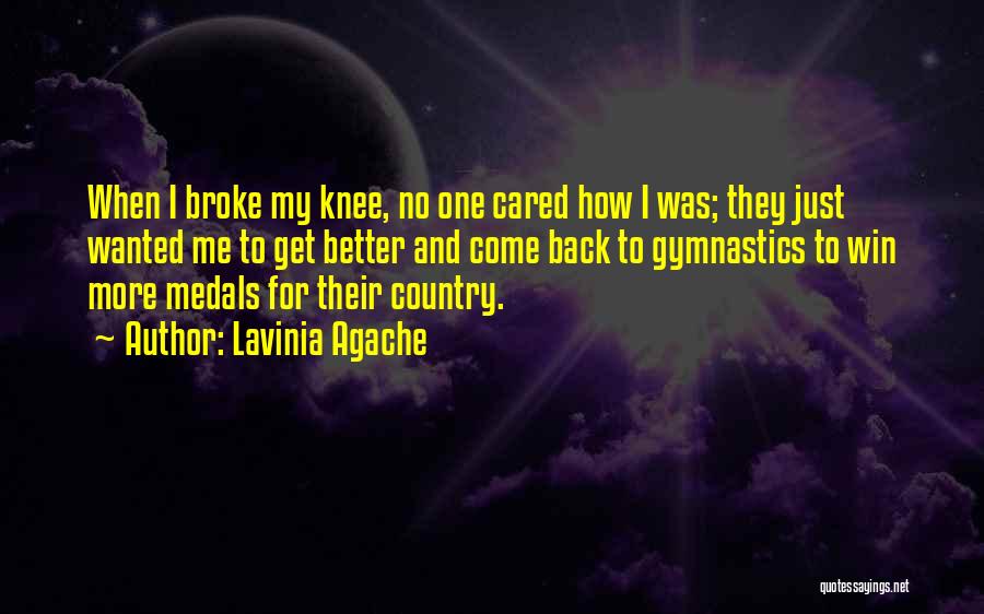 Going Back To Your Country Quotes By Lavinia Agache