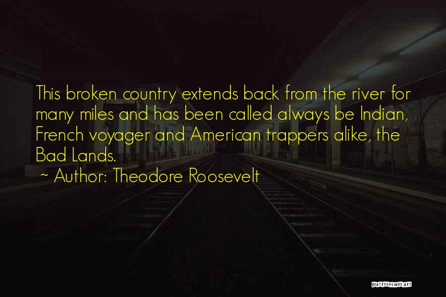 Going Back To Your Country Quotes By Theodore Roosevelt