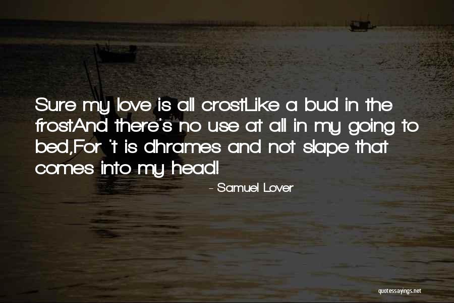 Going Bed Love Quotes By Samuel Lover