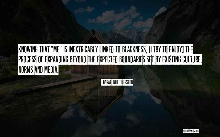 Going Beyond What Is Expected Quotes By Baratunde Thurston Going Beyond What Is Expected Quotes By Baratunde Thurston