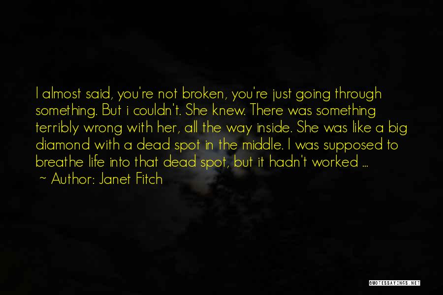 Going Big In Life Quotes By Janet Fitch