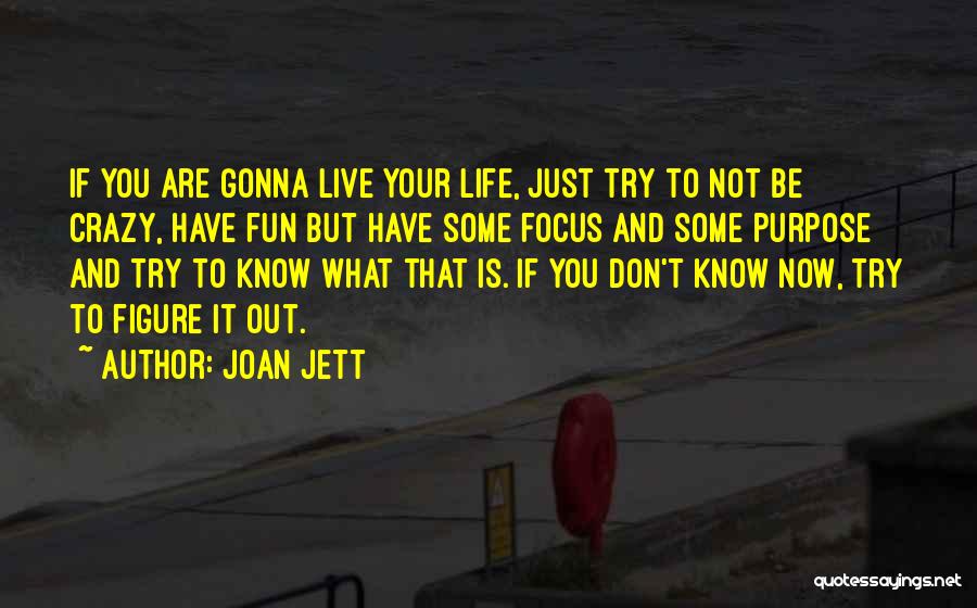 Going Crazy And Having Fun Quotes By Joan Jett
