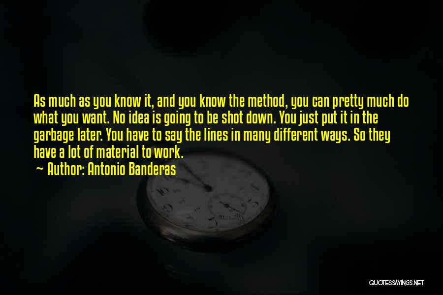 Going Different Ways Quotes By Antonio Banderas
