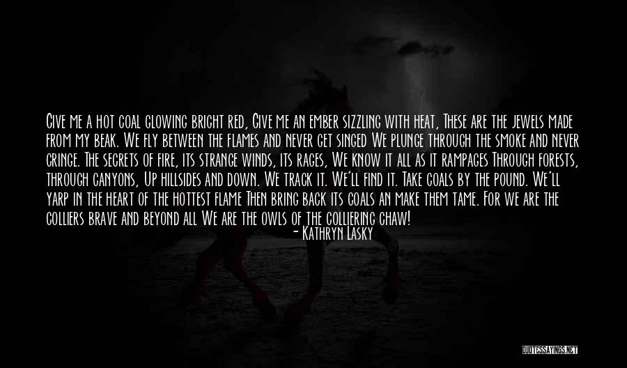 Going Down In Flames Quotes By Kathryn Lasky